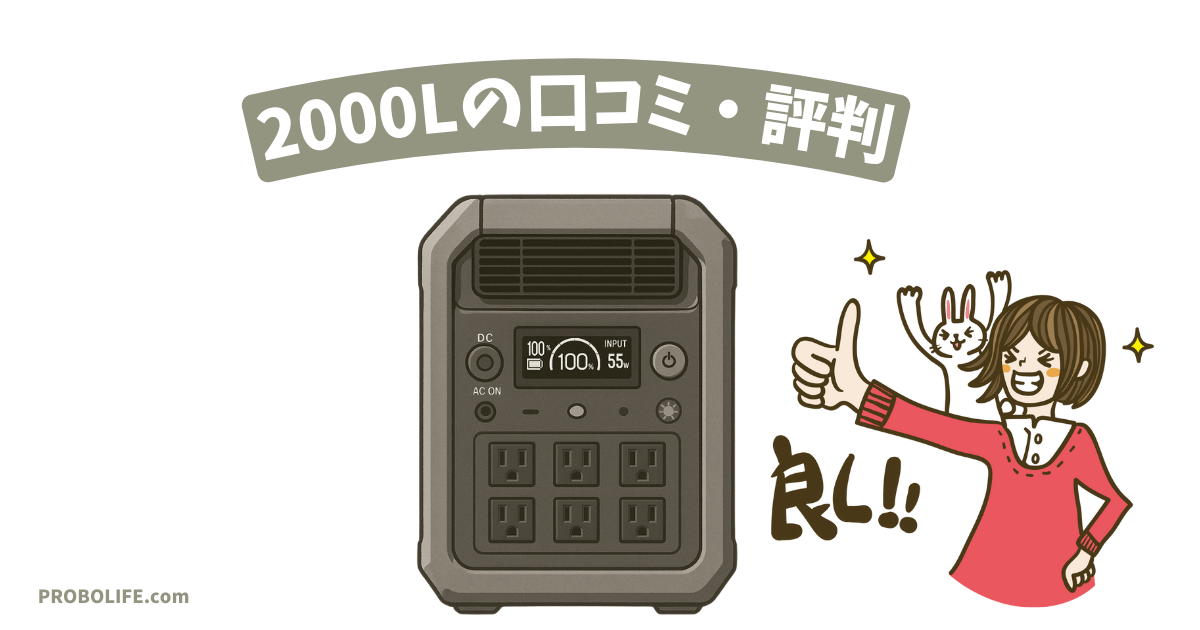 DABBSSONダブソン 2000Lの口コミ・評判