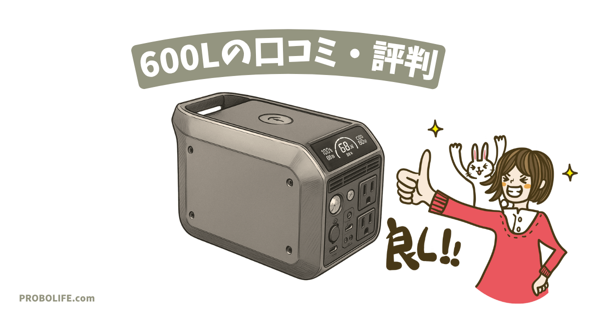 DABBSSON 600Lの口コミ