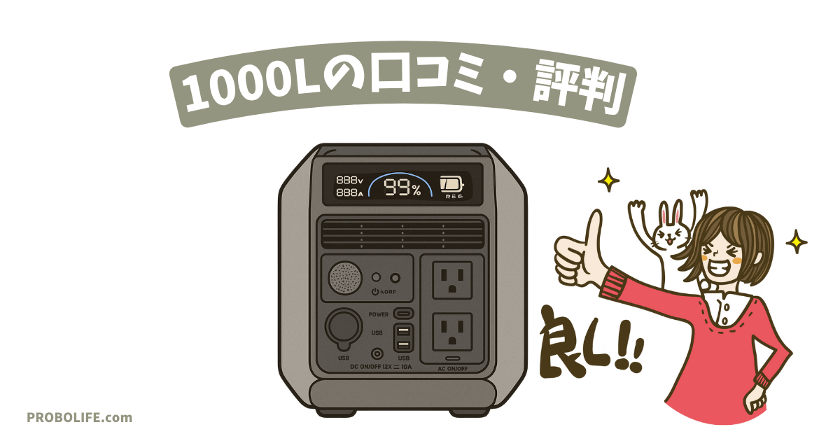 DABBSSON 1000Lの口コミ