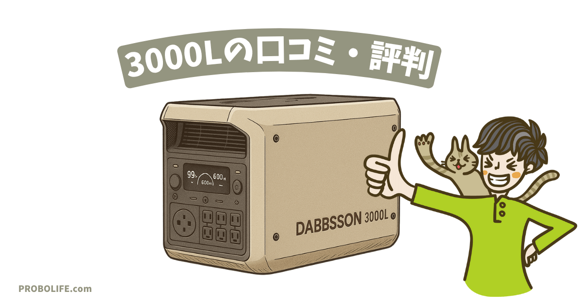 DABBSSON 3000Lの口コミ