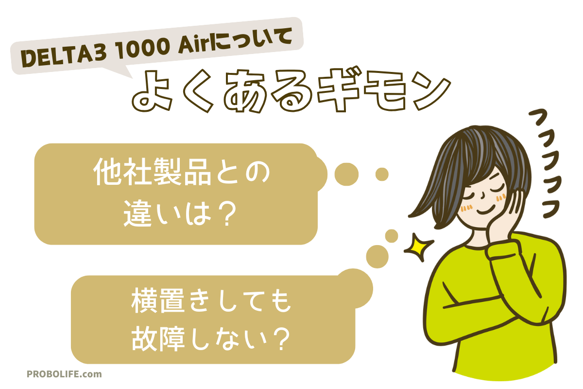 DELTA 3 1000 Airの商品情報